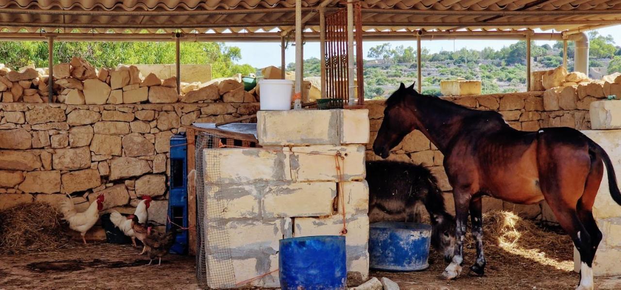 Valley View Qrendi Ngoại thất bức ảnh